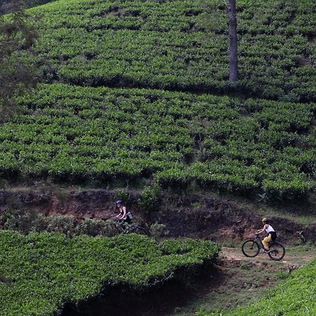 Heritance Tea Factory Nuwara Eliya Exteriör bild