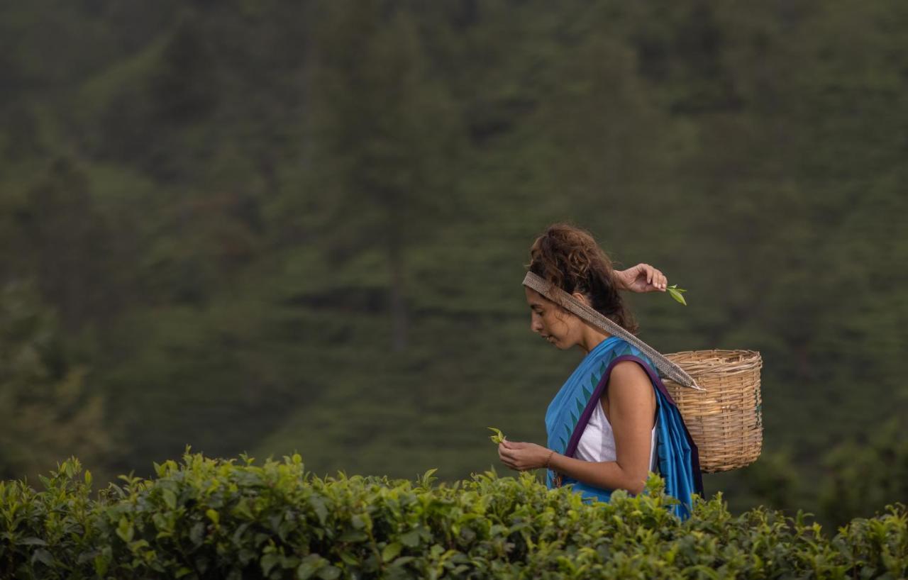 Heritance Tea Factory Nuwara Eliya Exteriör bild