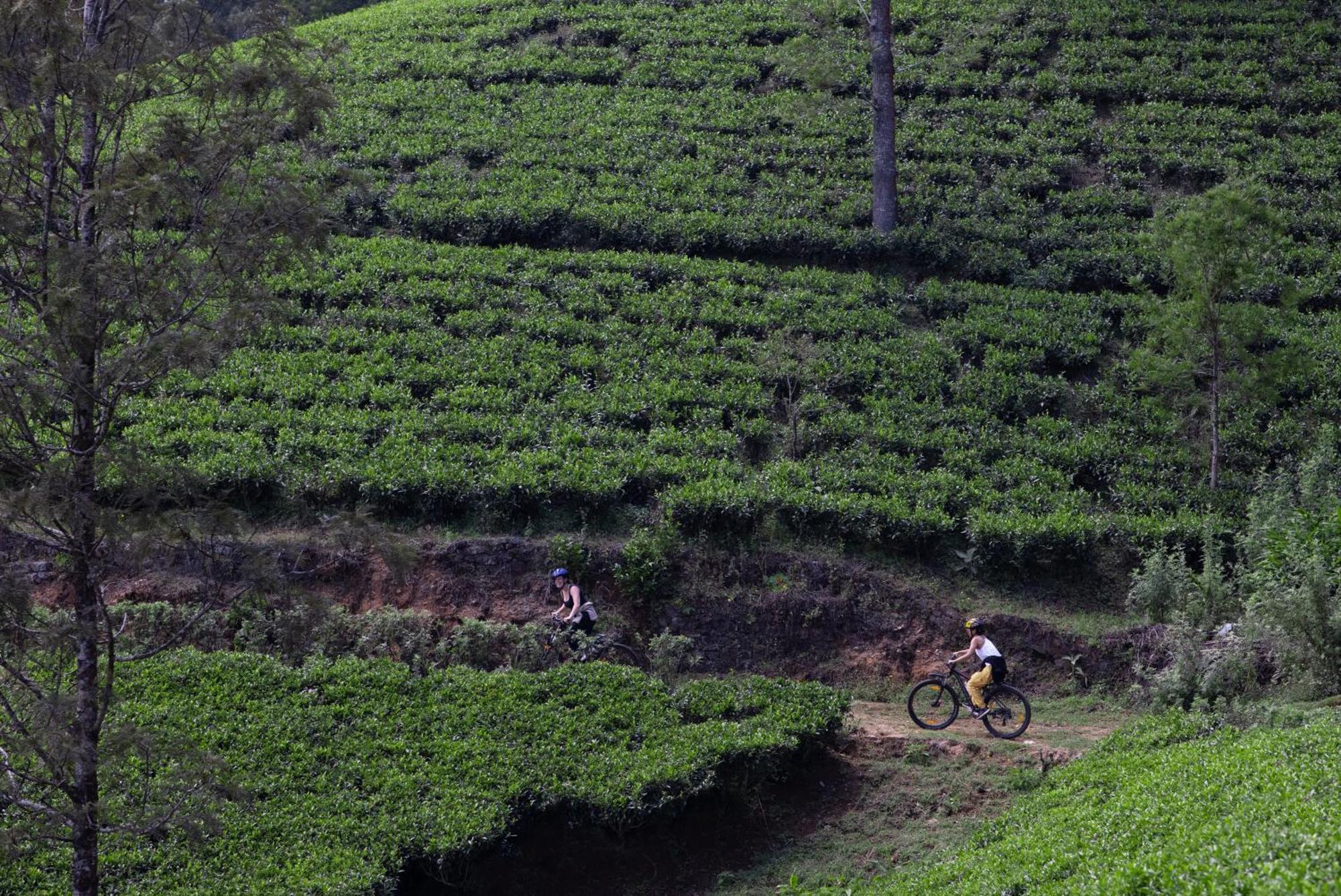 Heritance Tea Factory Nuwara Eliya Exteriör bild